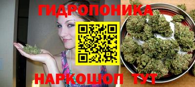 ECSTASY Чапаевск