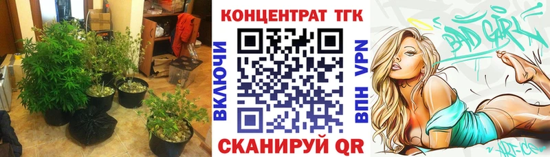ТГК концентрат  как найти закладки  Нефтеюганск 