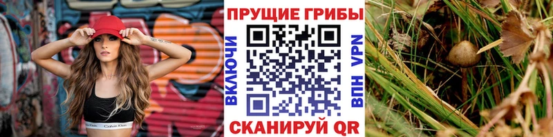 Галлюциногенные грибы MAGIC MUSHROOMS Нефтеюганск